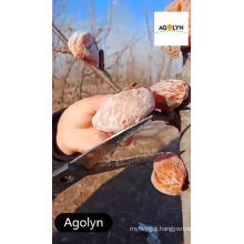 Agolyn High Quality Dried Fruit Chinese Handmade Dried Persimmon
Agolyn Nature niutrition pill amazing Quality Dried Fruit Sweet Oval Dried Persimmon